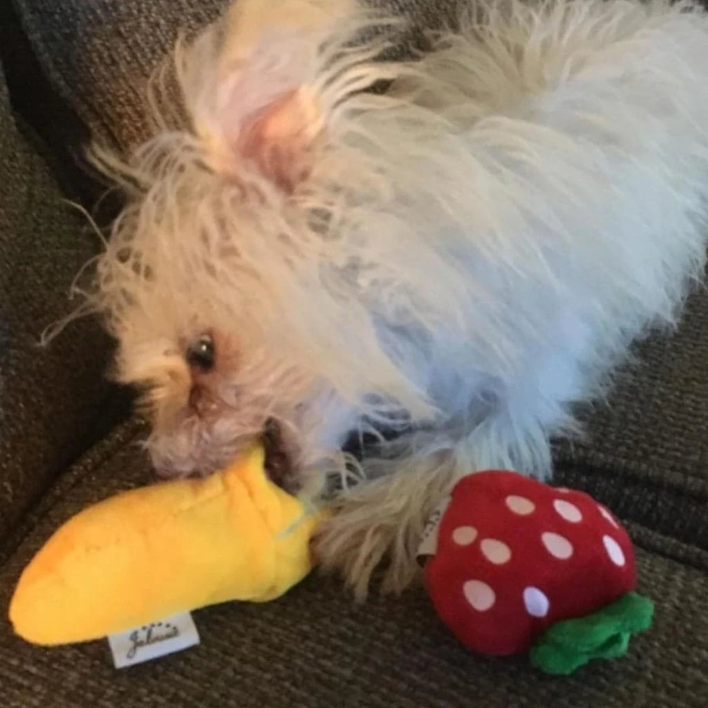 7-piece set of Pet toys