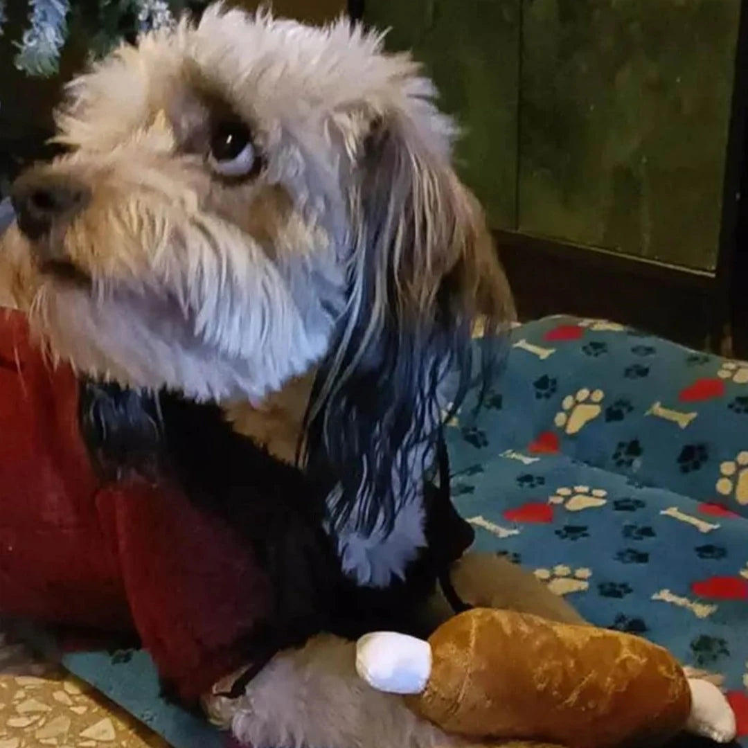 7-piece set of Pet toys