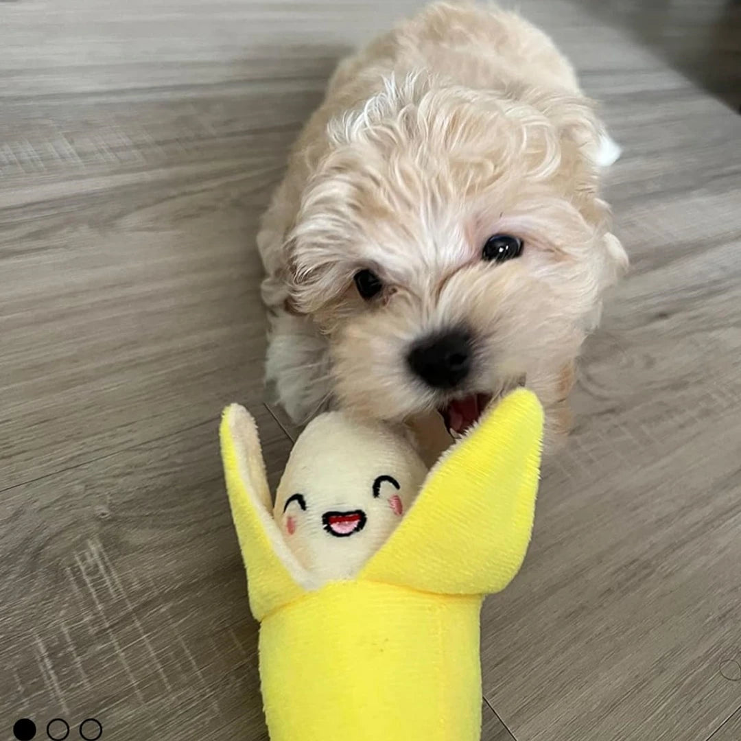 7-piece set of Pet toys